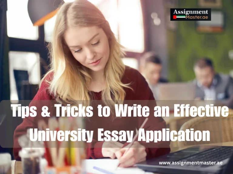 university essay application